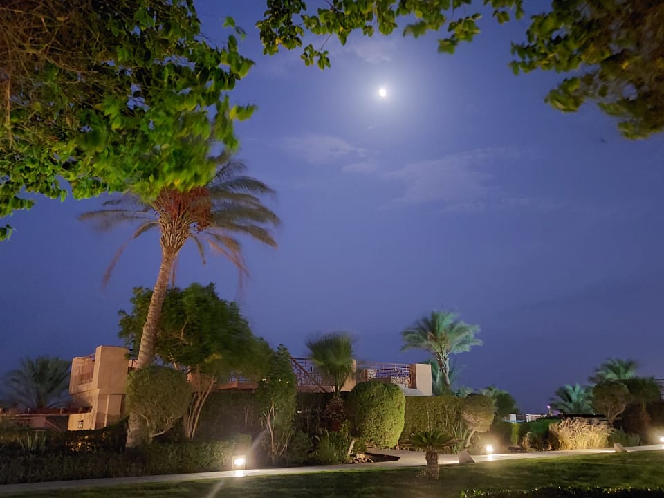 Gartenanlage Shams Prestige Abu Soma-Adults Only