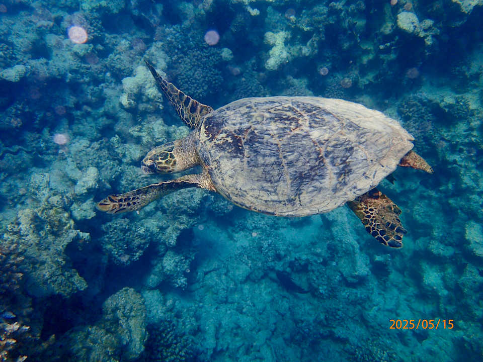 Strand Sirena Beach Resort & Spa