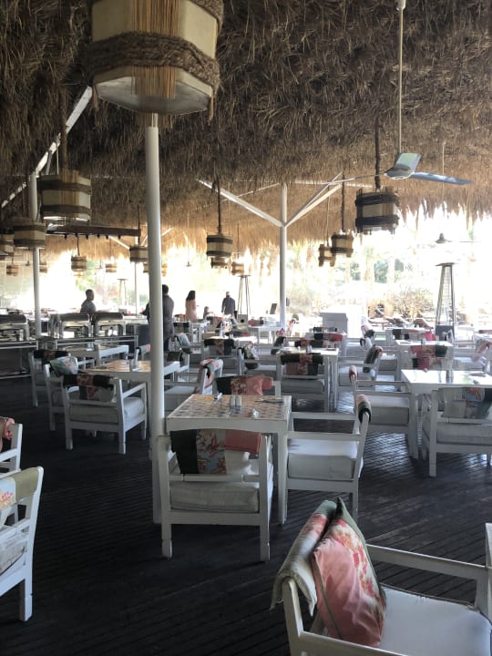 Gastro Sindbad Club