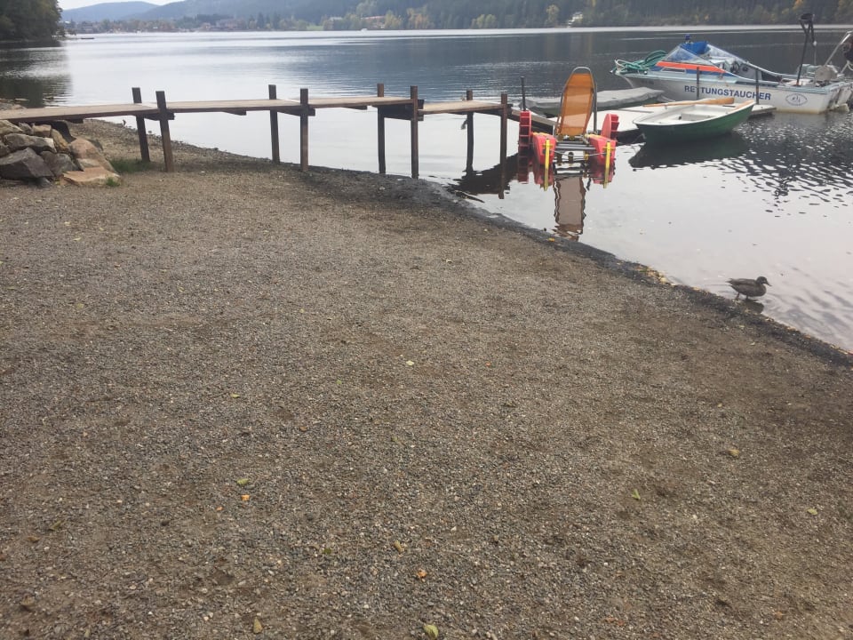 Strand am Restaurant Naturcamping Weiherhof