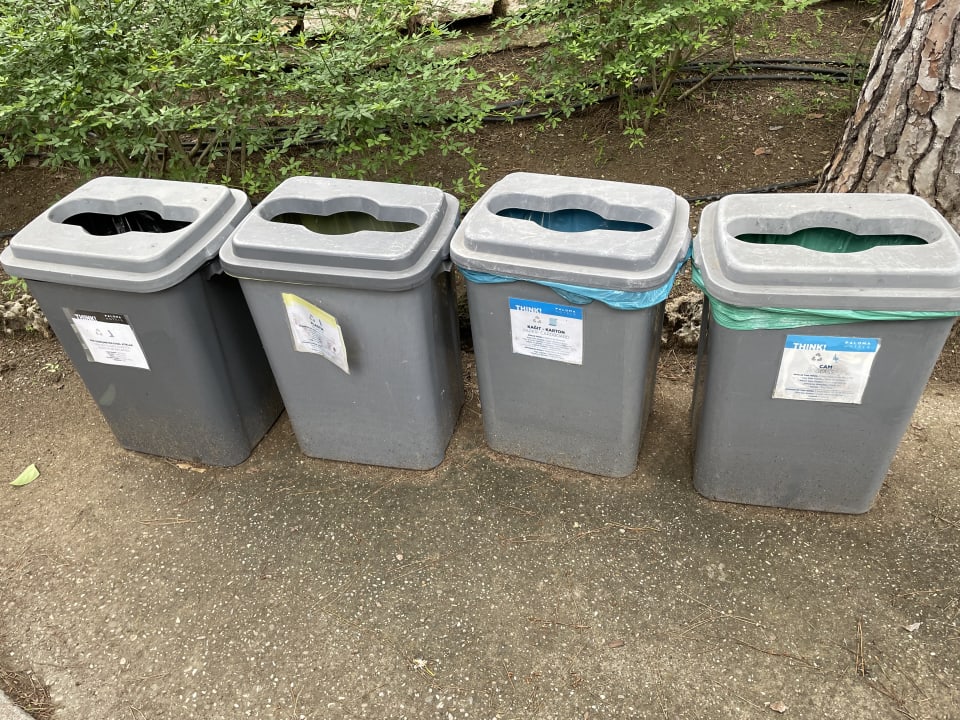 Sonstiges Balmy Foresta