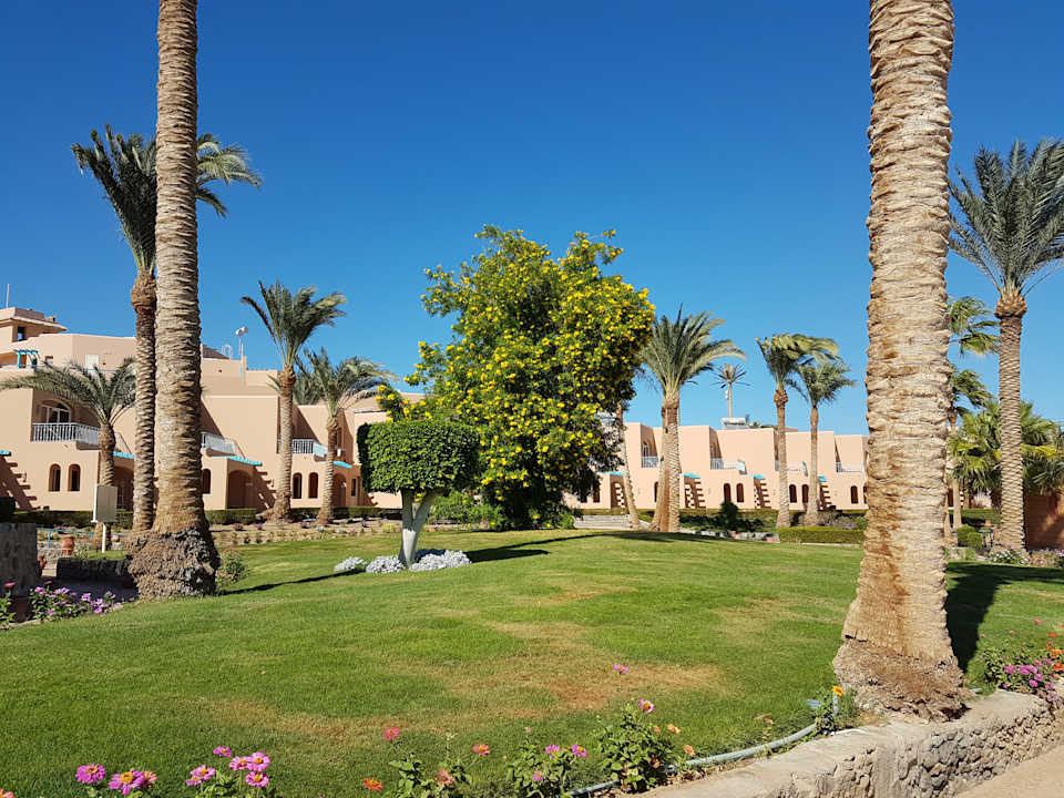 Gartenanlage Club Paradisio El Gouna, Red Sea