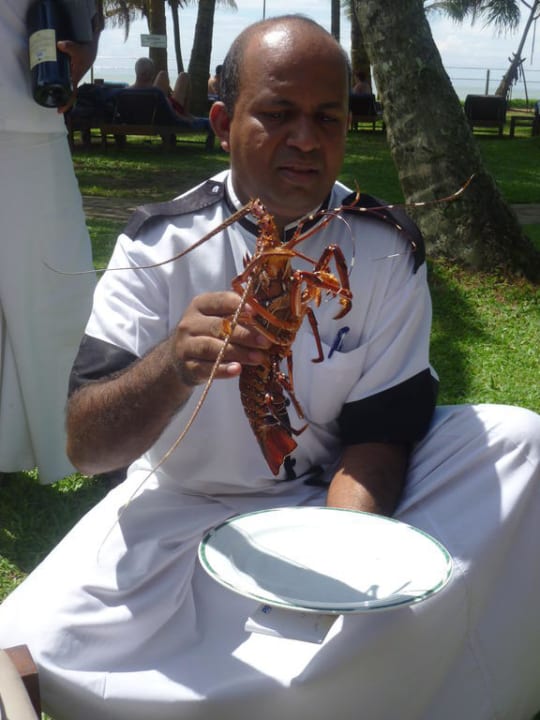 Der Chefkoch Mermaid Hotel & Club