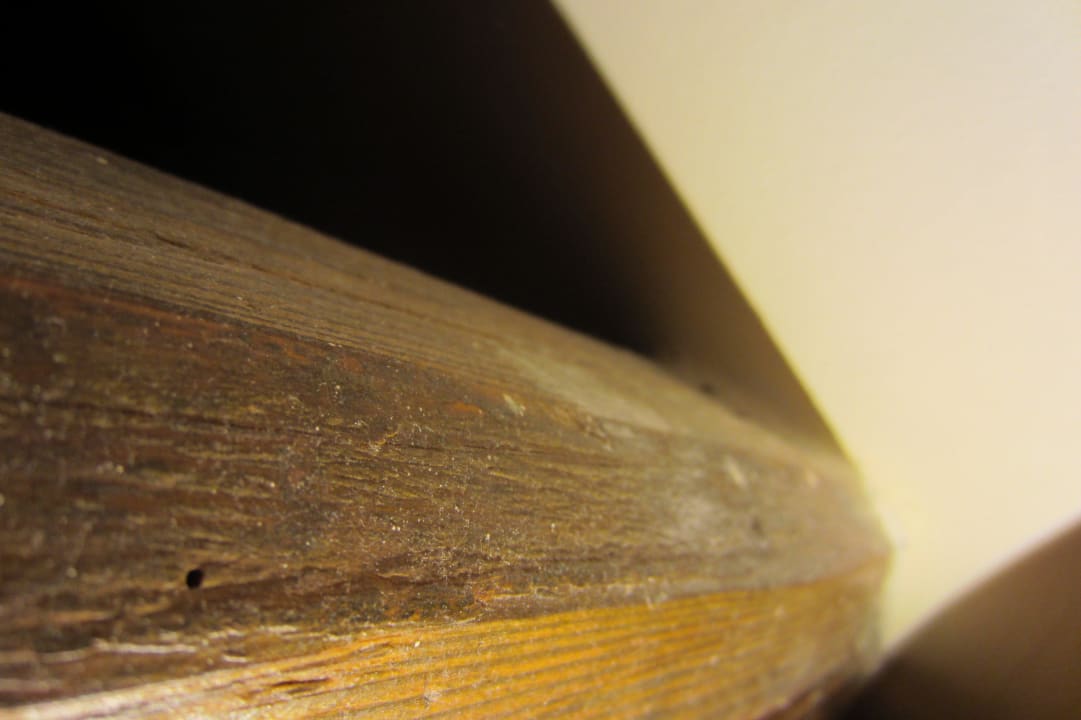 Staub und Spinngewebe Landgasthof-Hotel Löwen