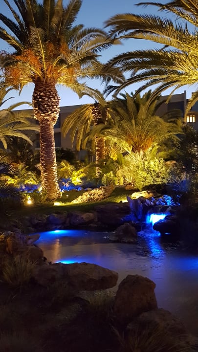 Gartenanlage Caravia Beach Hotel