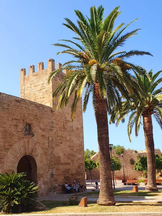 Sonstiges Alcudia Garden Aparthotel