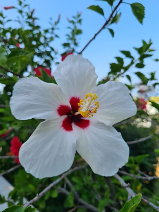 Ausblick Aldiana Club Rocca Nettuno Calabria