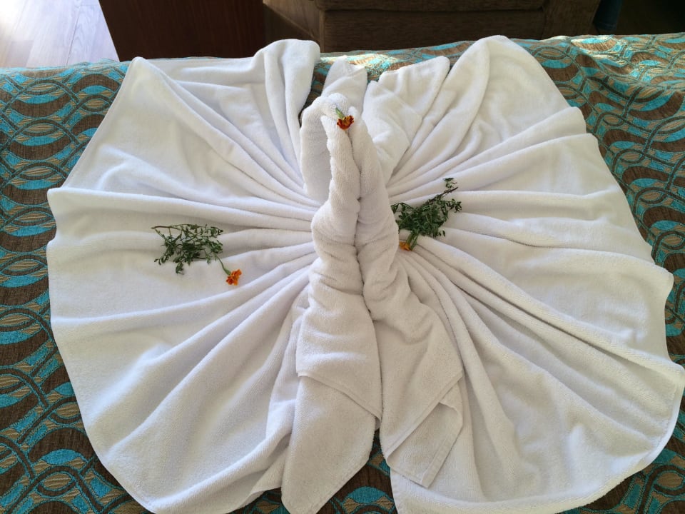 Täglich anders Seaden Sea World Resort & Spa