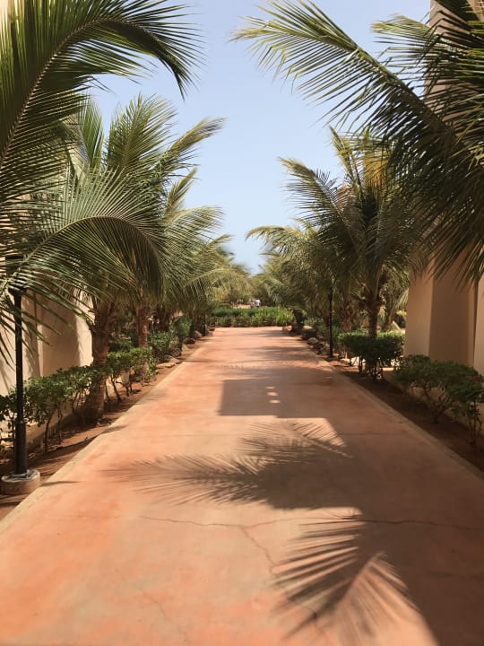 Gartenanlage Hotel Riu Touareg