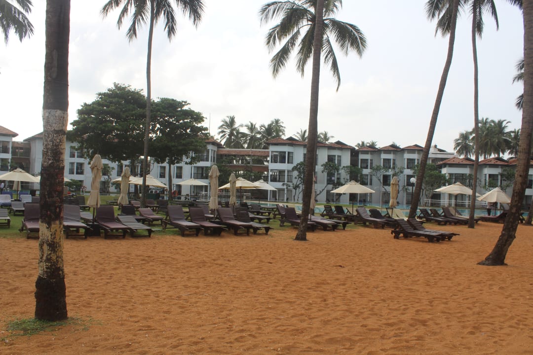 Sonstiges Club Hotel Dolphin