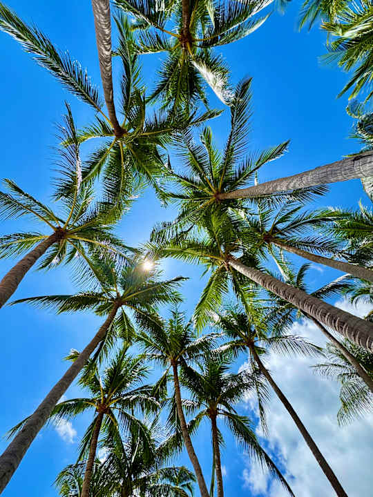 Außenansicht Santiburi Koh Samui