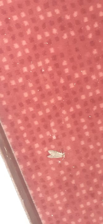 Sonstiges Latanya Park Resort