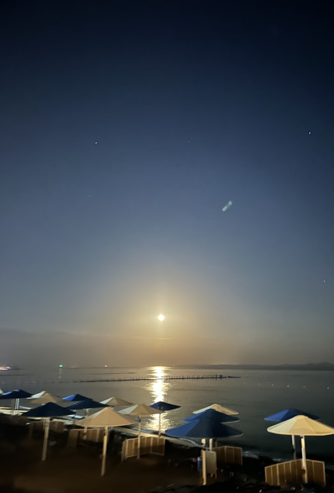 Ausblick Pickalbatros Palace Resort