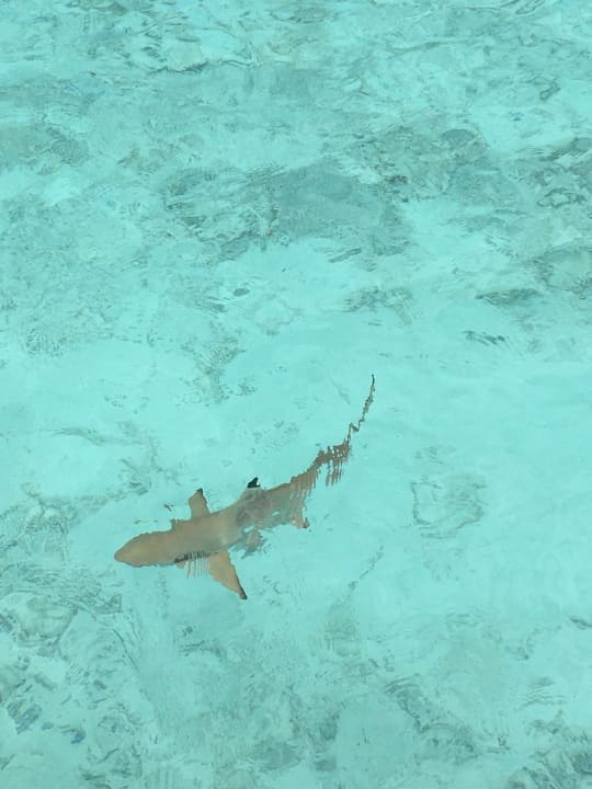 Strand Kuramathi Maldives