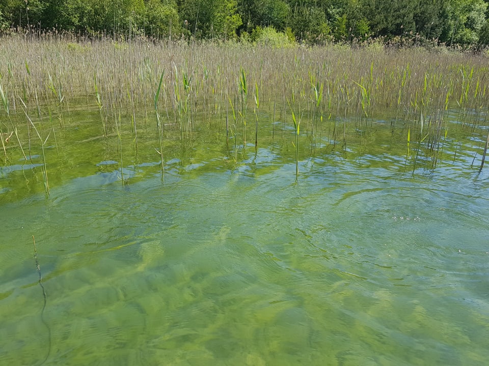 Ausblick Van der Valk Naturresort Drewitz