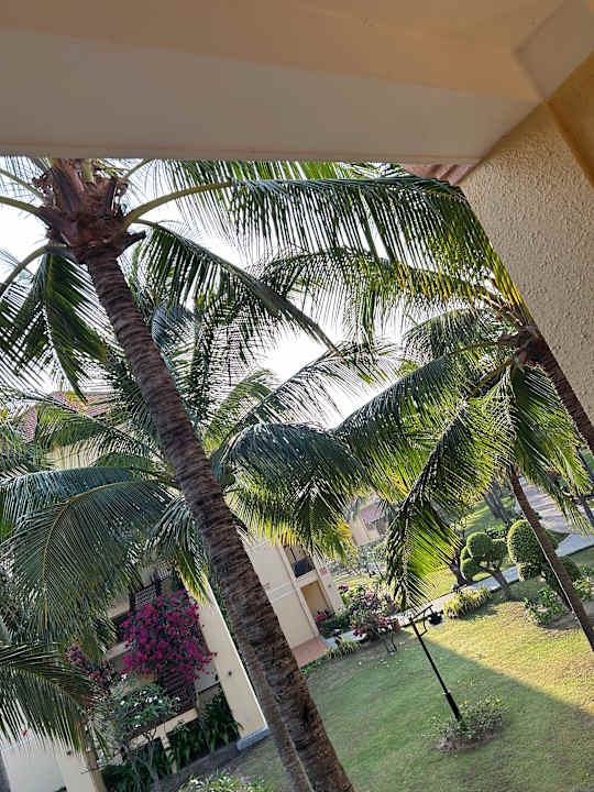 Gartenanlage Pandanus Resort