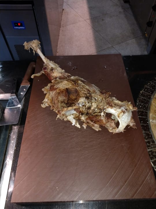 Gastro Paloma Finesse