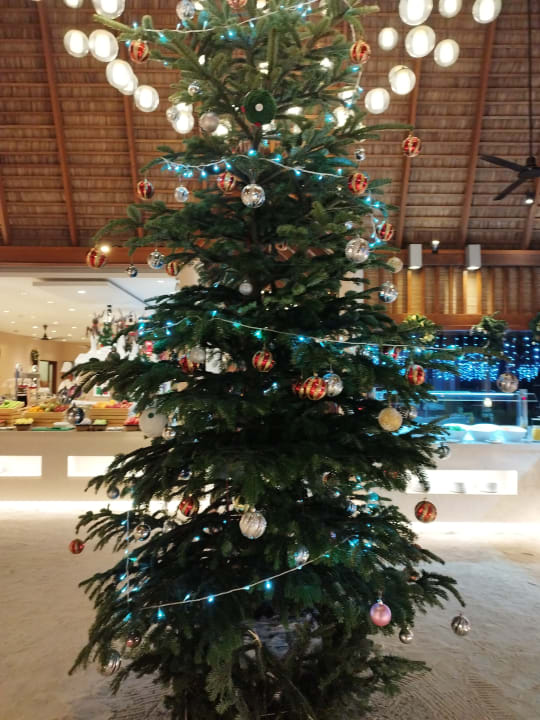 Sonstiges Veligandu Maldives Resort Island