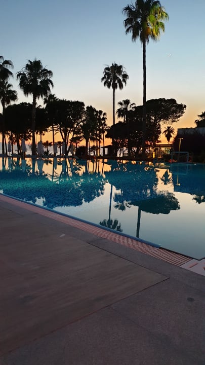 Pool Acanthus Cennet Barut Collection