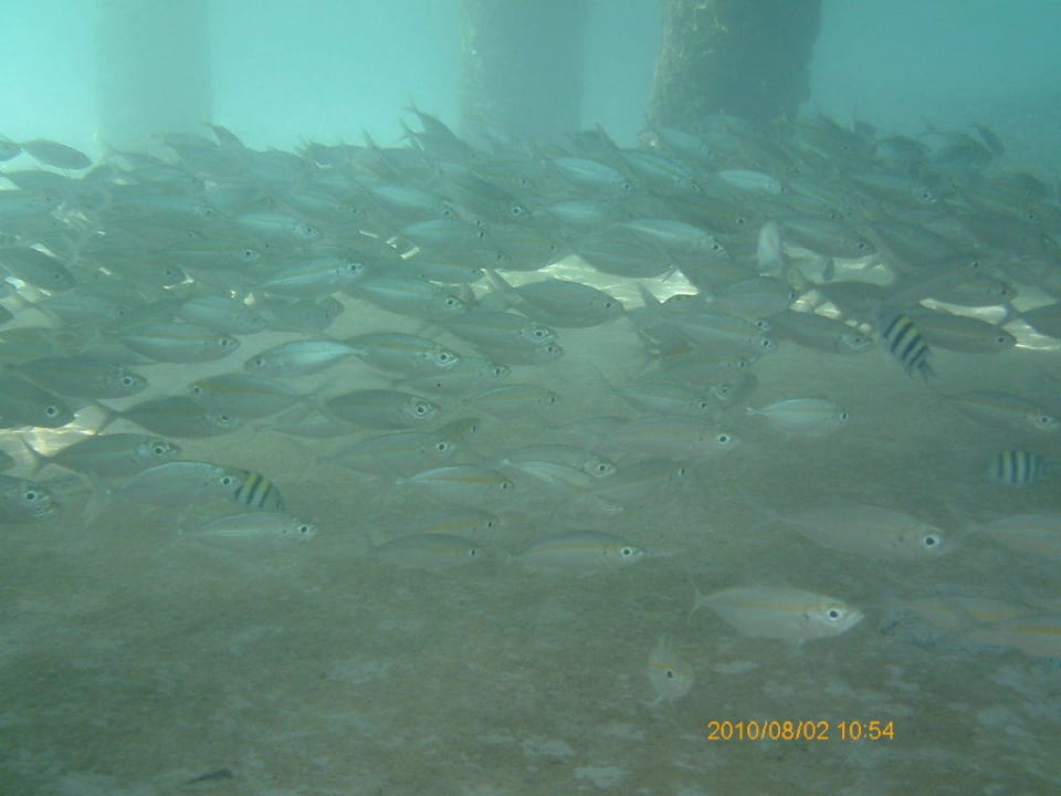 Unterwasser Hotel Bubu Long Beach Resort