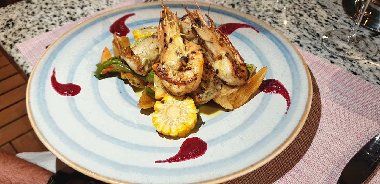 Gastro JAZ Elite Asteria