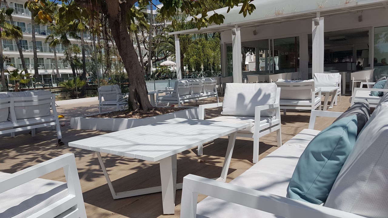 Gastro Alua Boccaccio