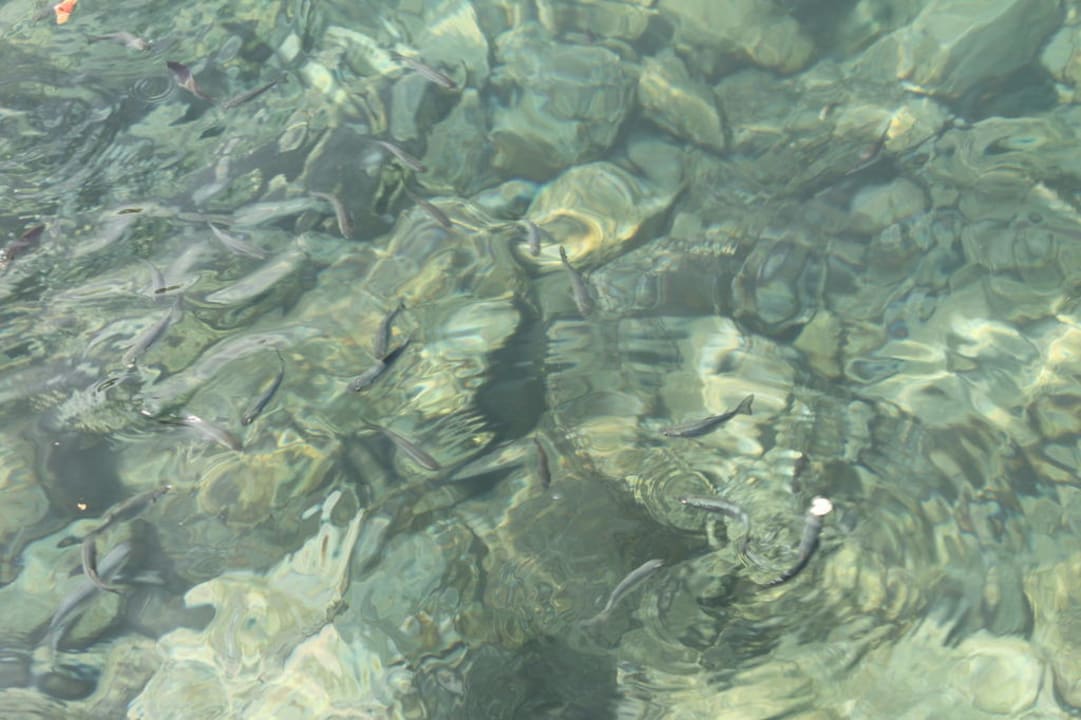 Hotel Adakule Ladonia Hotels Adakule