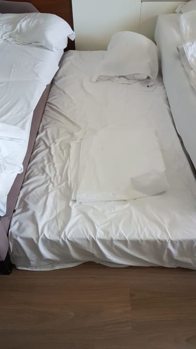 Zimmer Well Palace Side