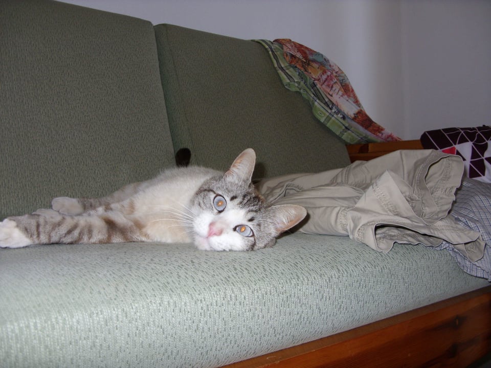 Der Besuch kam wieder, hat ihm bei uns gefallen Relaxia Olivina