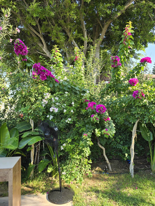 Gartenanlage Nerton Hotel - Erwachsenenhotel ab 16 Jahren