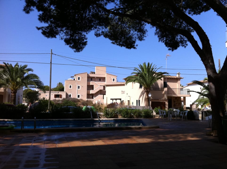Die alten Pinien spenden natürlichen Schatten Hotel Santanyi Port