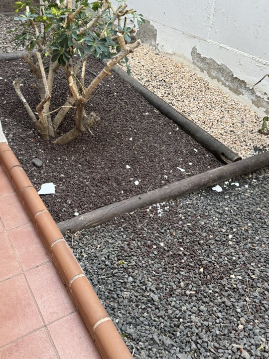 Außenansicht Fuerteventura Princess