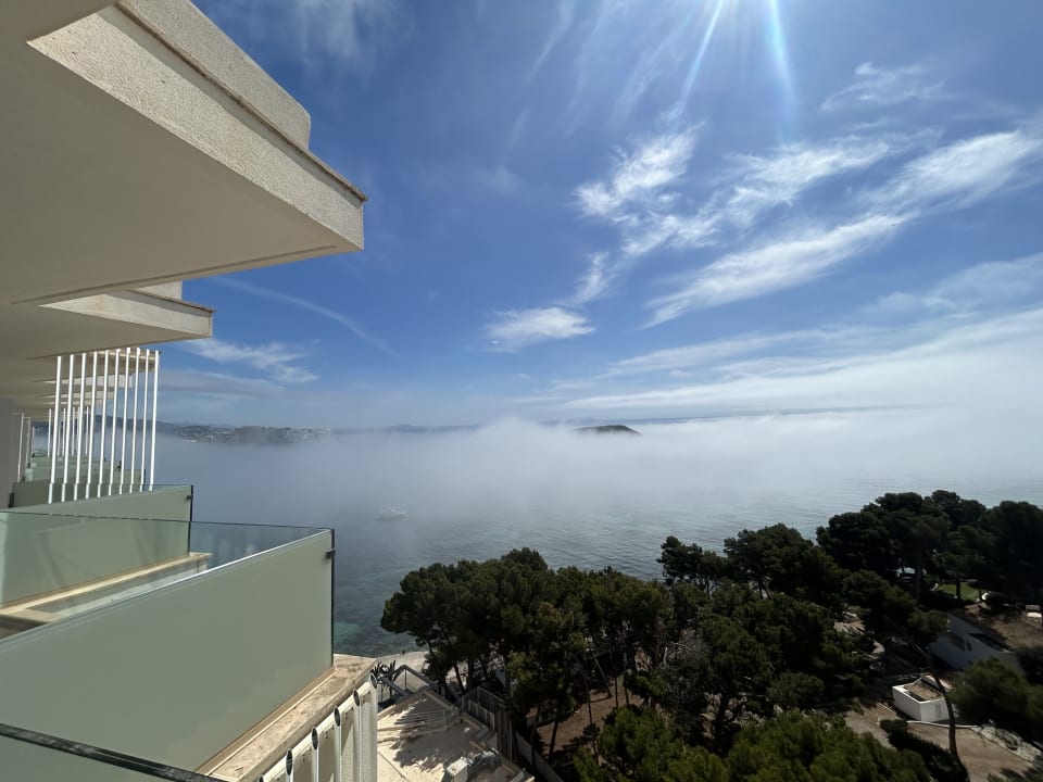Ausblick Meliá Calviá Beach