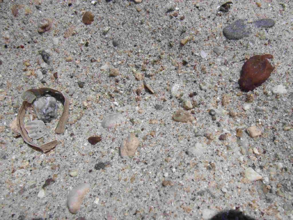 Struktur Sandstrand Neptune Luxury Resort