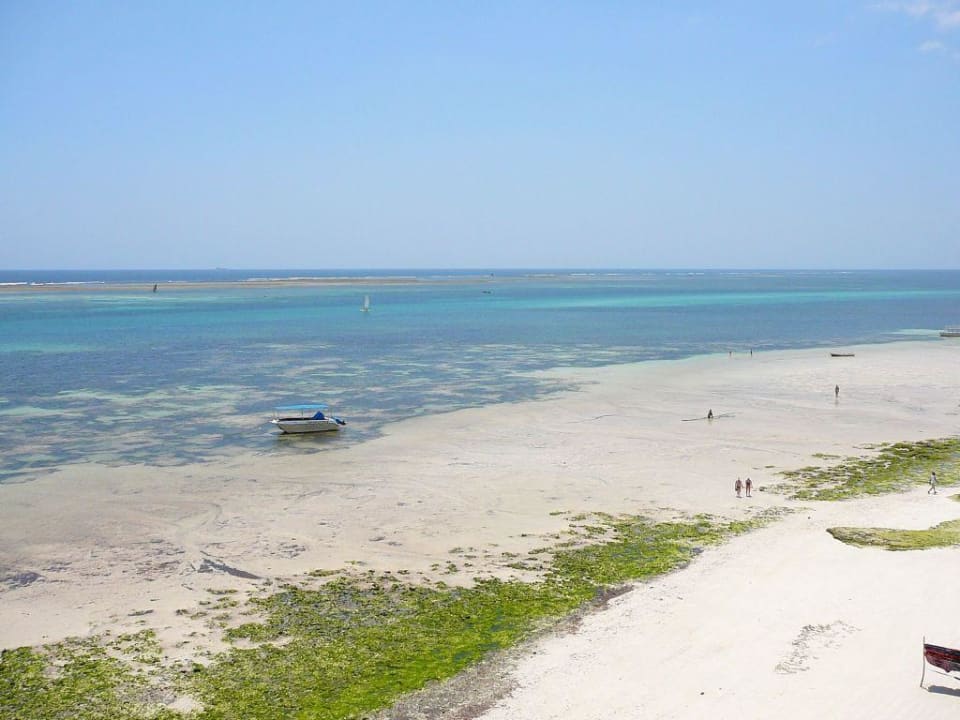 low tide Bahari Beach Hotel