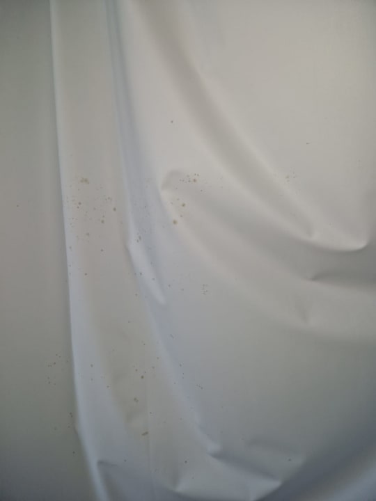 Zimmer Hotel RF San Borondon