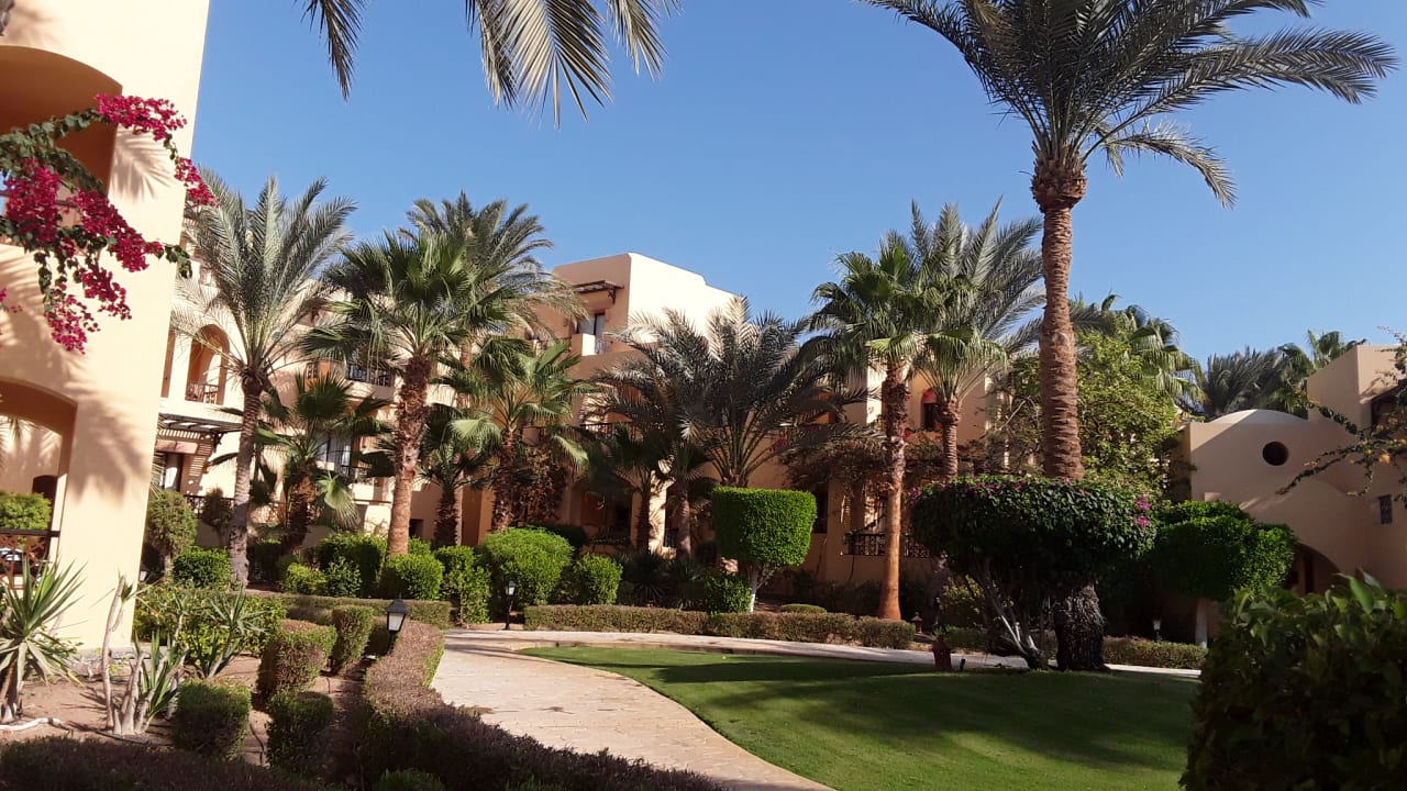 Gartenanlage Steigenberger Coraya Beach - Adults only