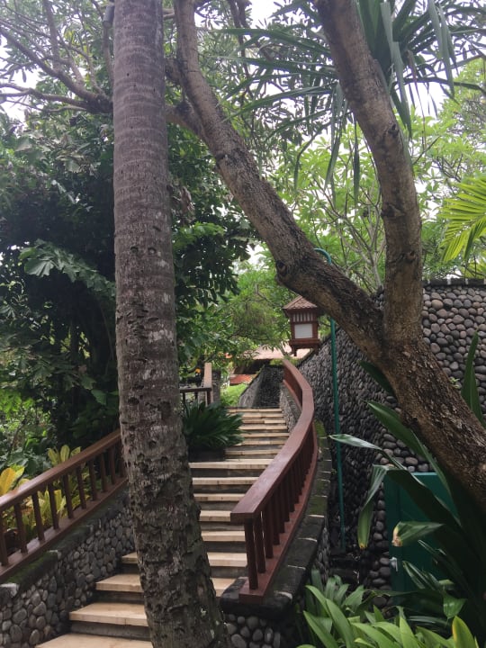 Garten The Laguna A Luxury Collection Resort & Spa