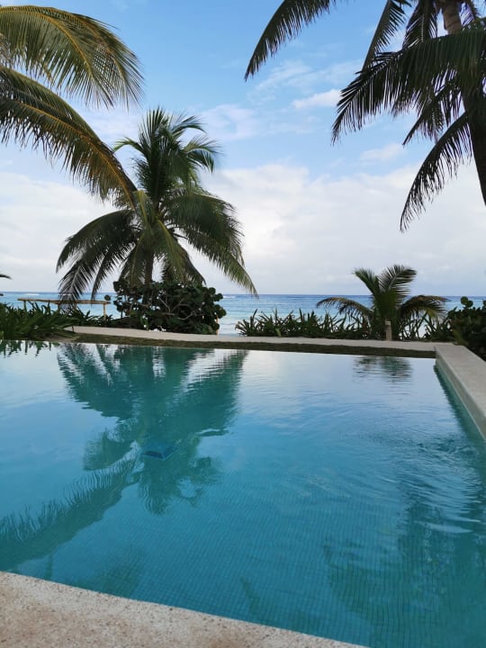 Pool Akumal Bay Beach & Wellness Resort