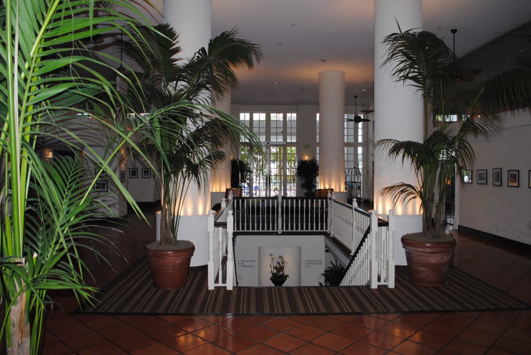 Lobby The Palms Hotel & Spa