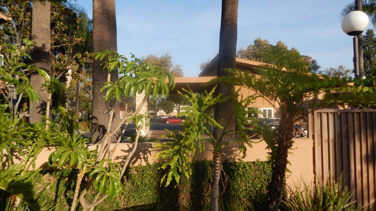 Garten Best Western Hotel Pine Tree Motel