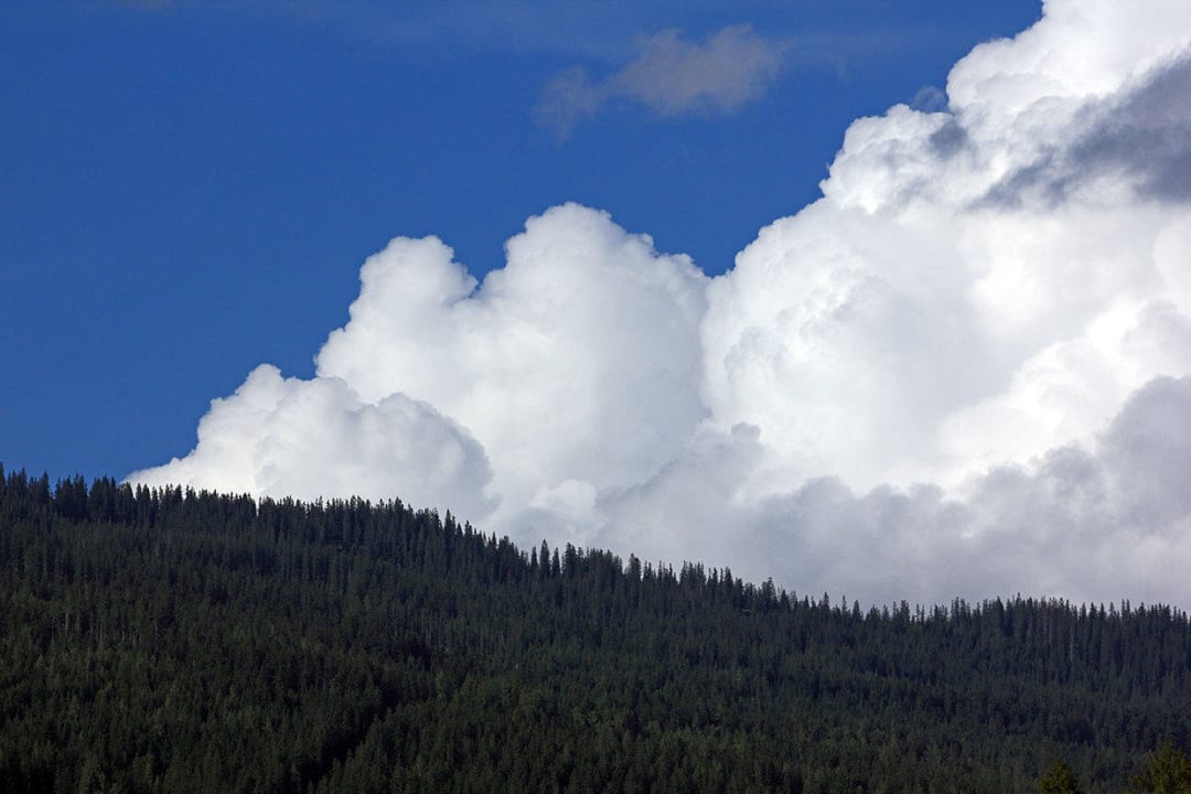 Taxerhof Hotel Taxerhof