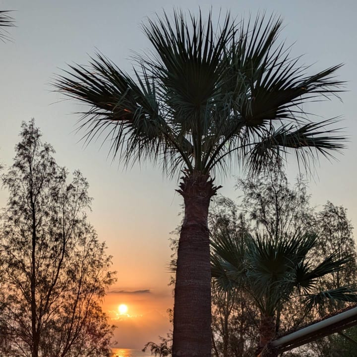 Ausblick Crystal Springs Beach Hotel