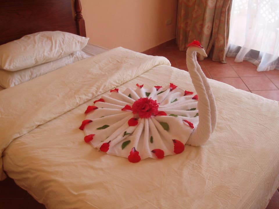 Schwan Ali Baba Palace Hotel