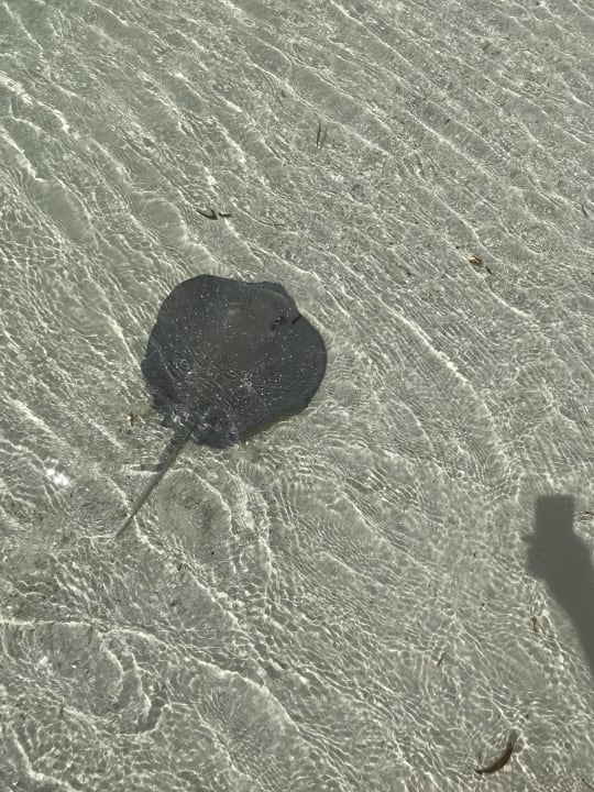 Strand Kuredu Island Resort & Spa