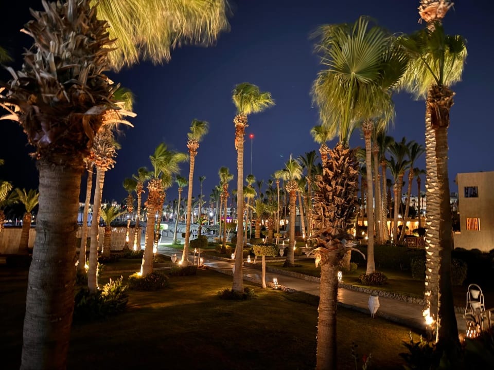 Gartenanlage Meraki Resort (Adults Only)