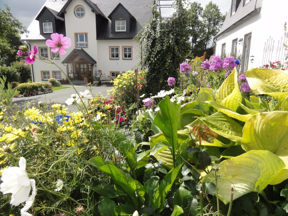 Blick vom Haupthaus Gästehaus Frankenwaldhof