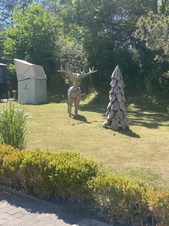 Gartenanlage Wittenbeck-Ostseetraum-Wohnung-2-9785
