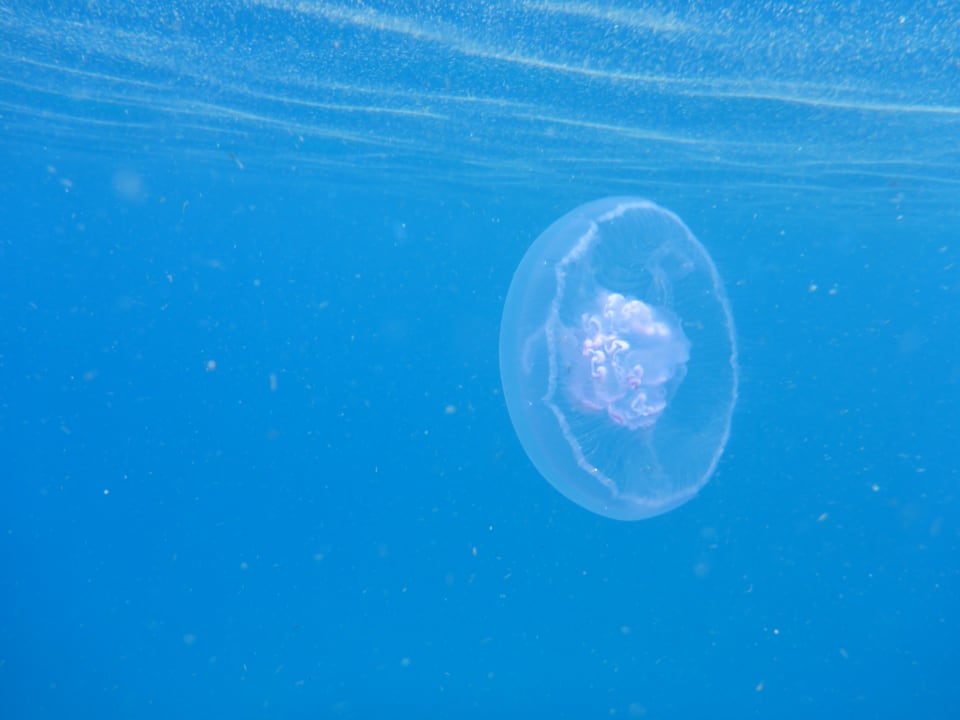 Sport & Freizeit Hotel Gorgonia Beach Resort