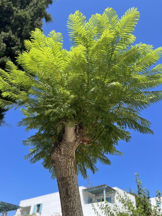 Gartenanlage ROBINSON DAIDALOS